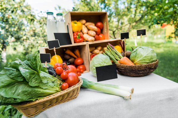 Écologie et alimentation : un havre de nature dans les Ardennes